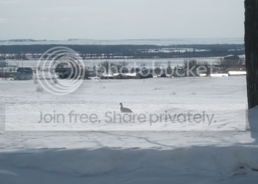 IMG_1151.jpg