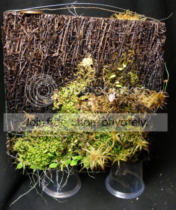 Ujamesonianaplaque050712RS.jpg