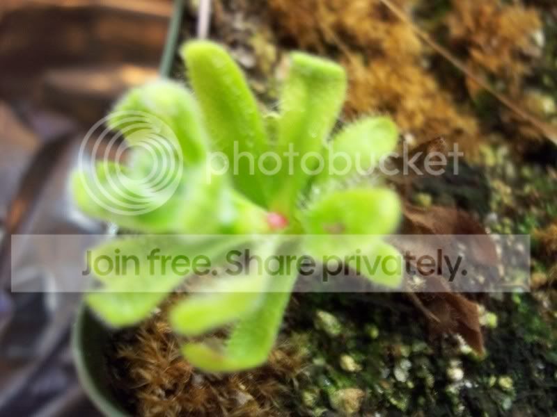 100_0821.jpg