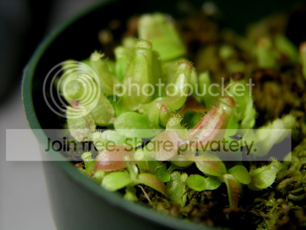 P1010001-6.jpg