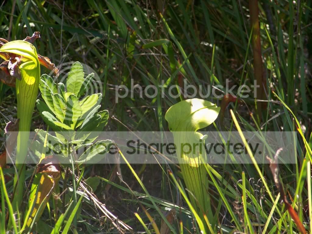 100_3844.jpg