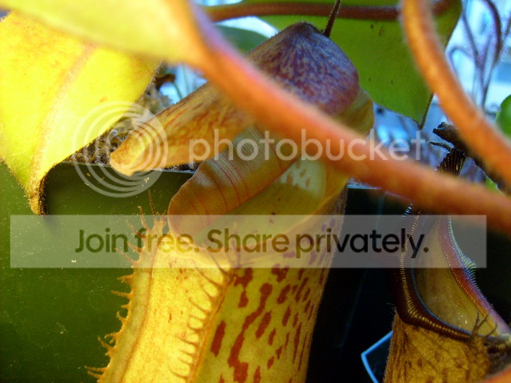 S6301143.jpg