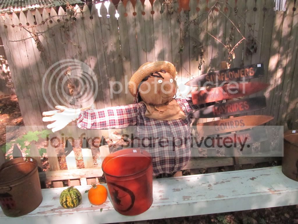 IMG_8927.jpg