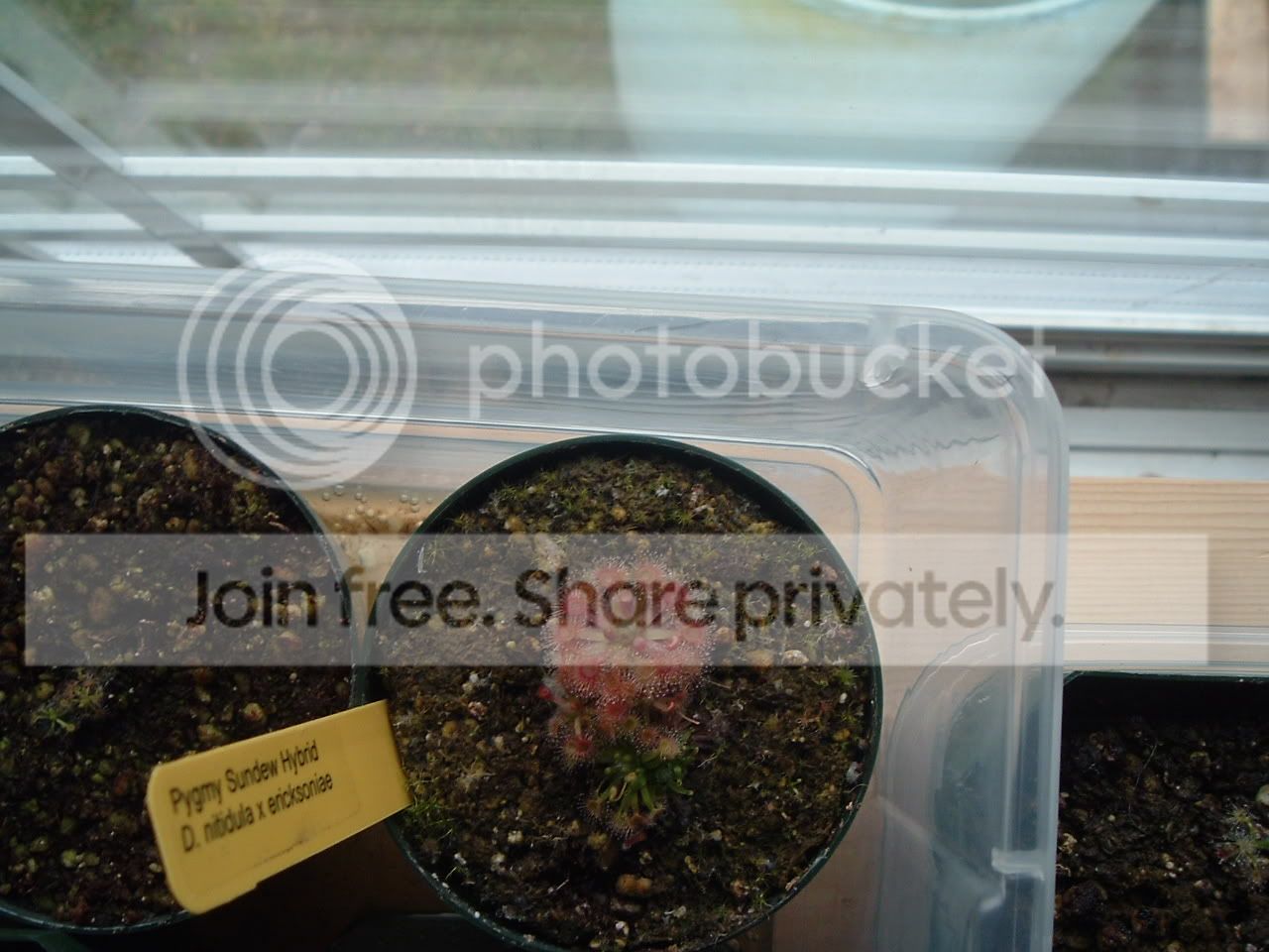 DSCF2629.jpg