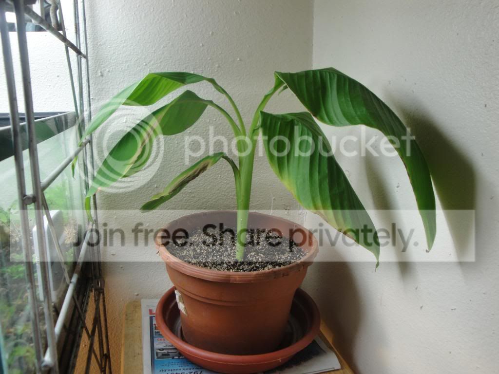 DSC03395.jpg