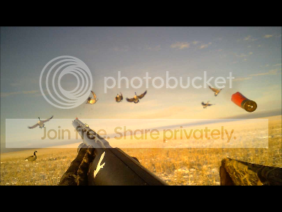 Snapshot312-11-20119-00PM.png