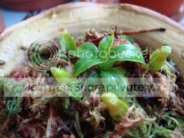 DSC00289.jpg