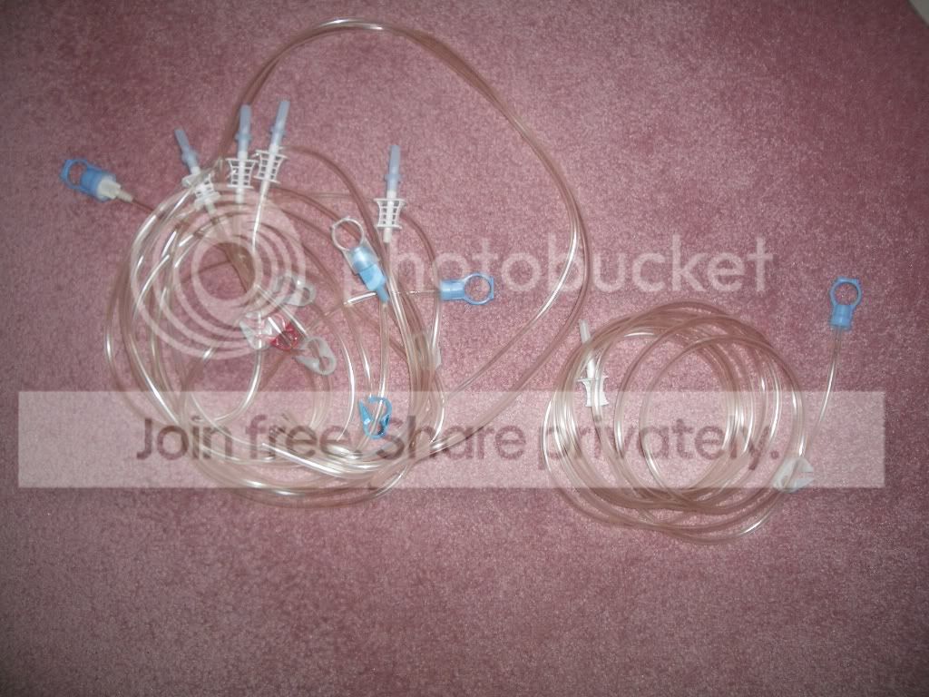 IMGP6526.jpg