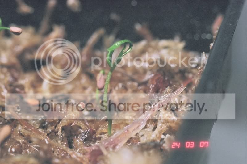 04390017.jpg