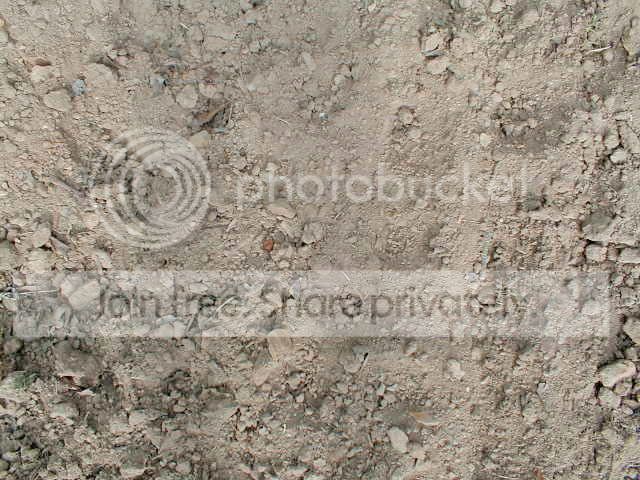 Soil.jpg