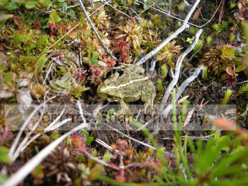 DSCN6099.jpg