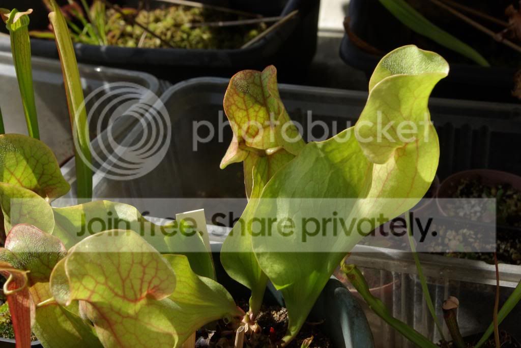 IMGP5921.jpg