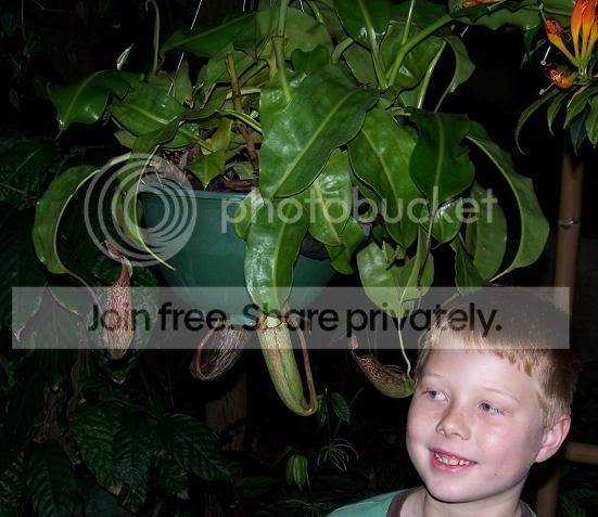 plant7.jpg