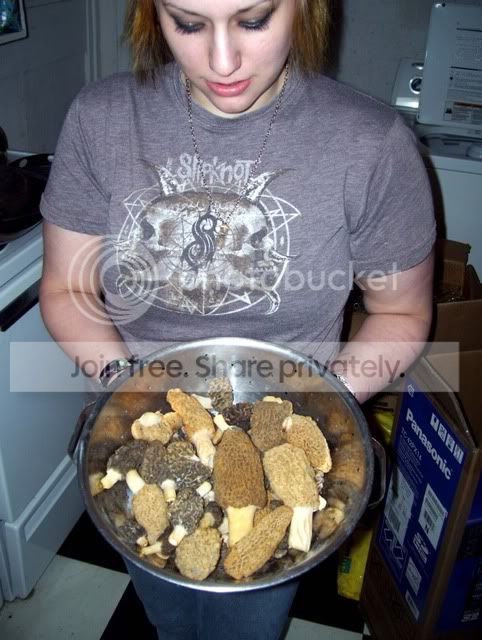 100_3527.jpg