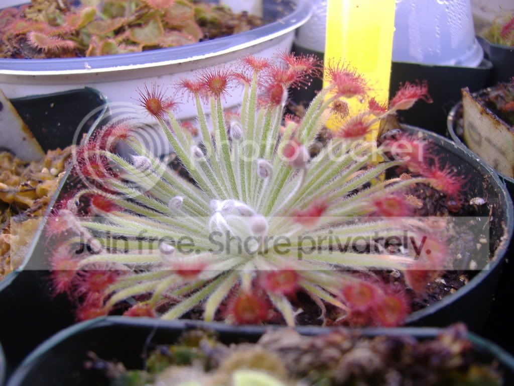 DSCF1763.jpg