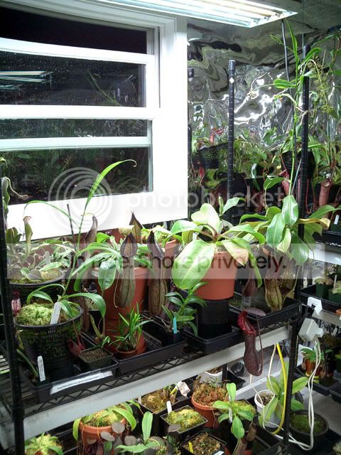 Growroom5.jpg
