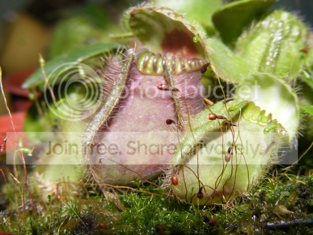 DSCF1249.jpg