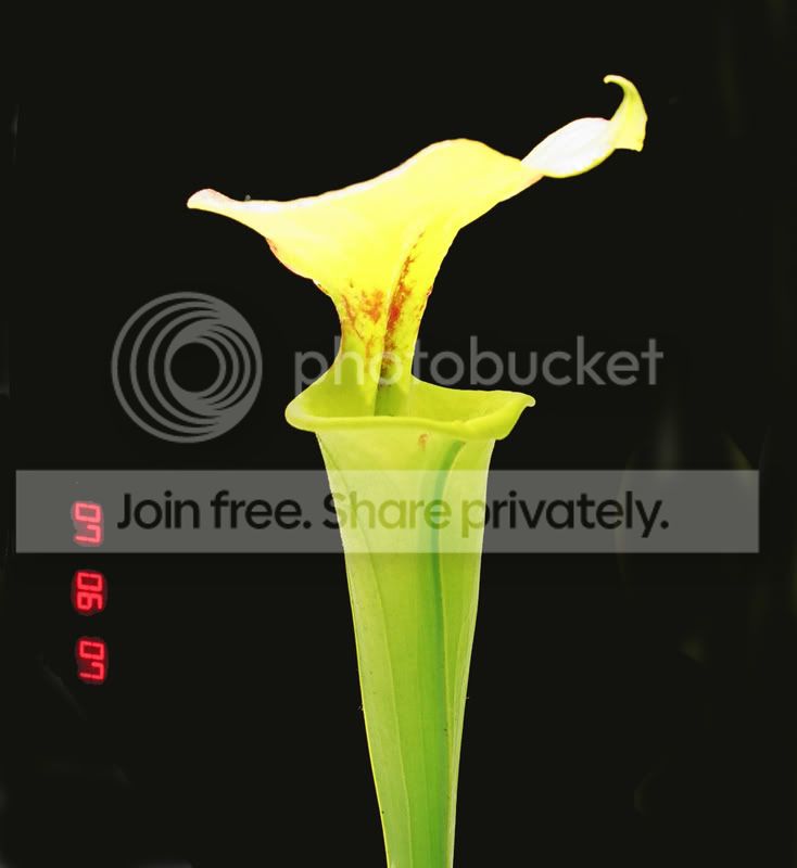 03570002a.jpg