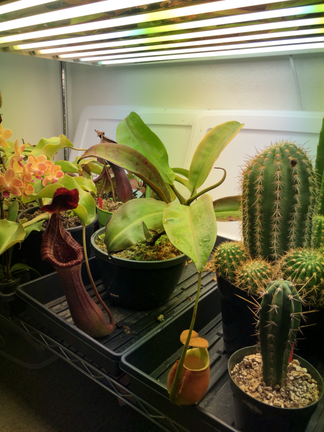 f8919078f9efa8be2c4608135767031c.jpg