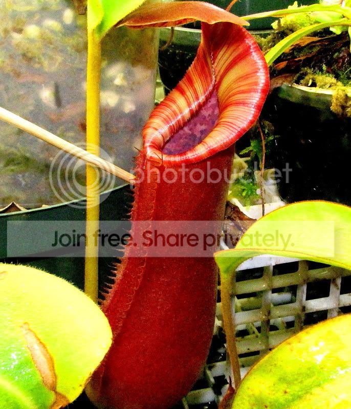 IMG_1715.jpg