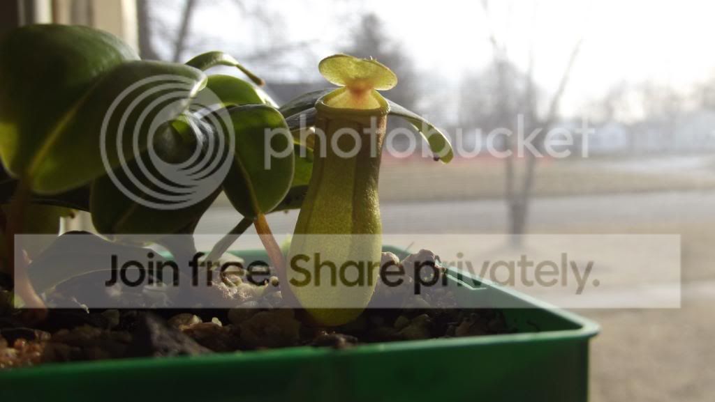DSCF0316.jpg