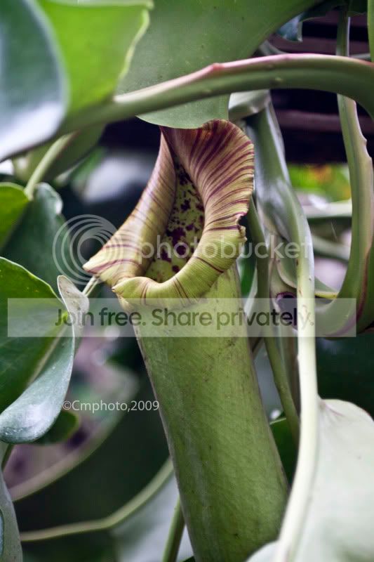 IMG_9328copy.jpg