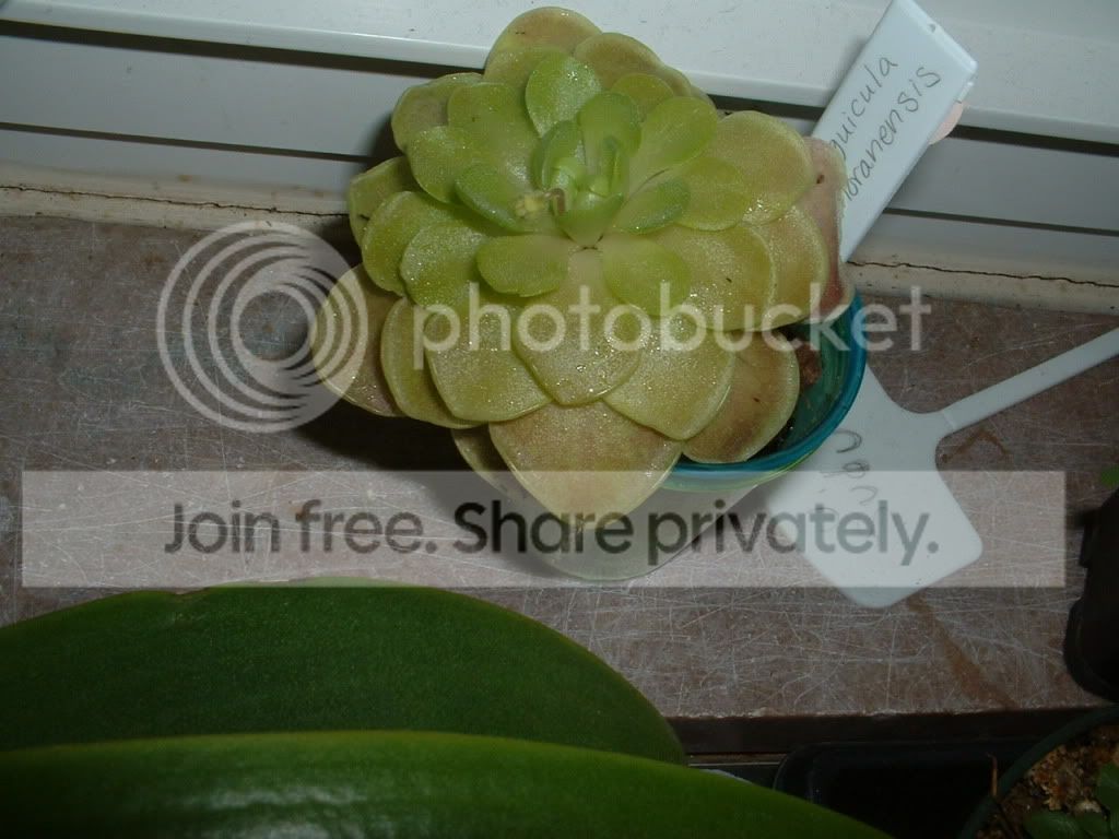 PhippsFeb2010016.jpg
