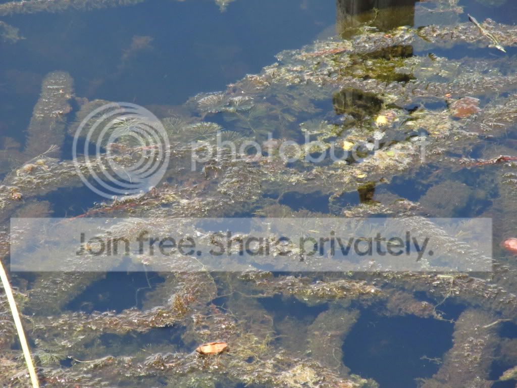 IMG_6389.jpg