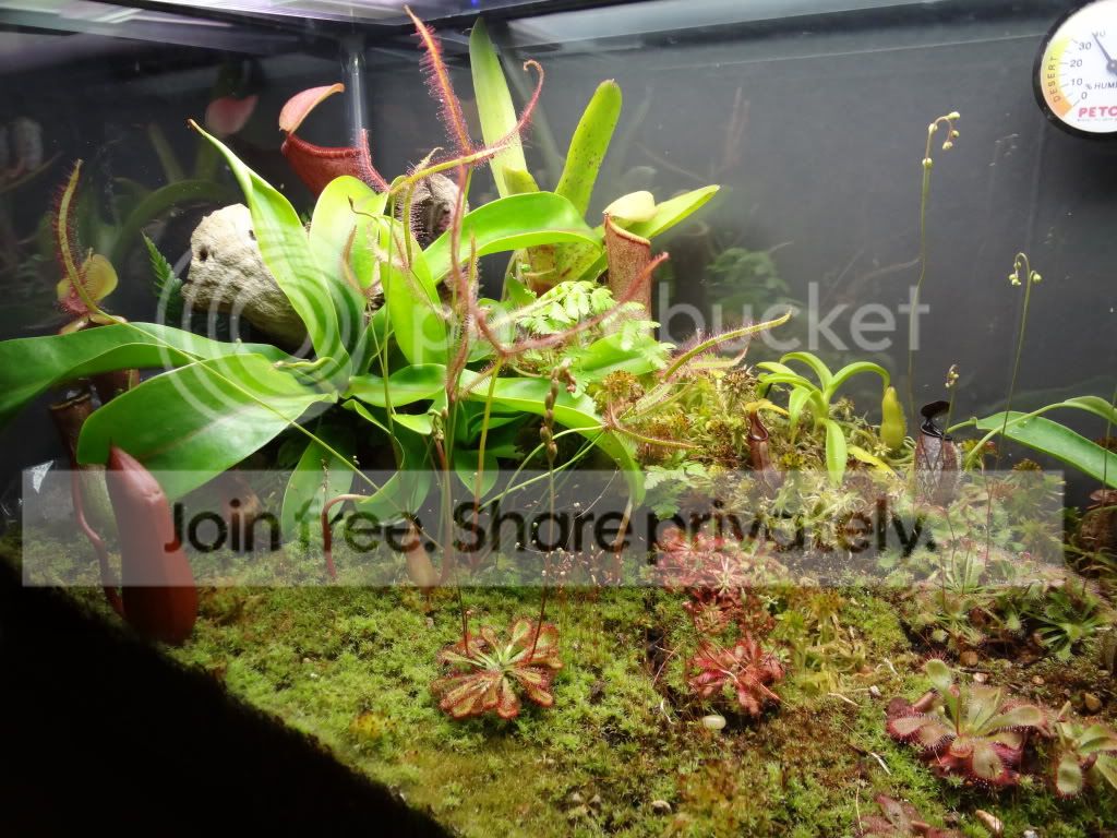 10g_vivarium02.jpg