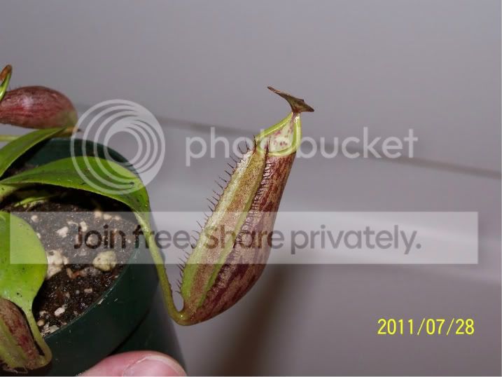 100_4932.jpg