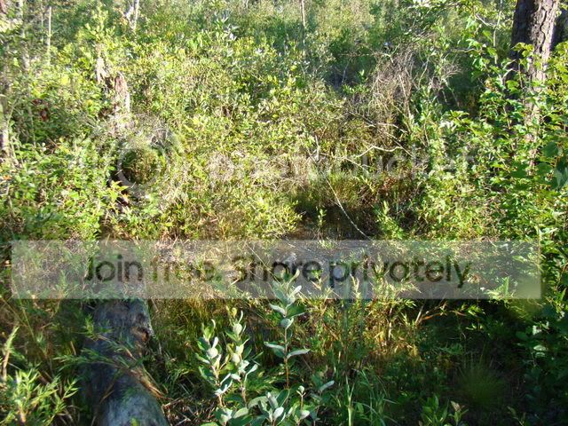 ReferenceandCPs082.jpg