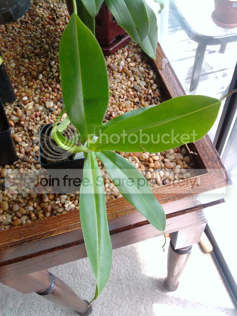 2011-07-14124509.jpg
