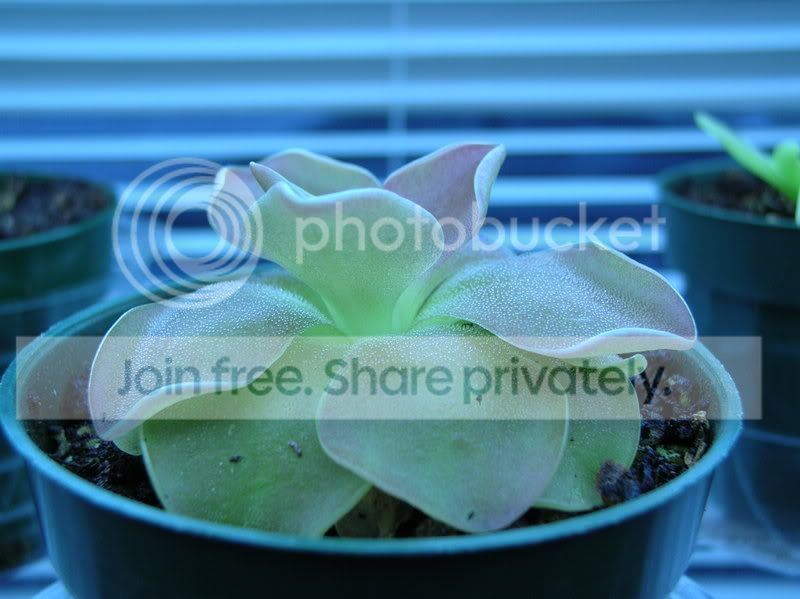 DSCN2518.jpg