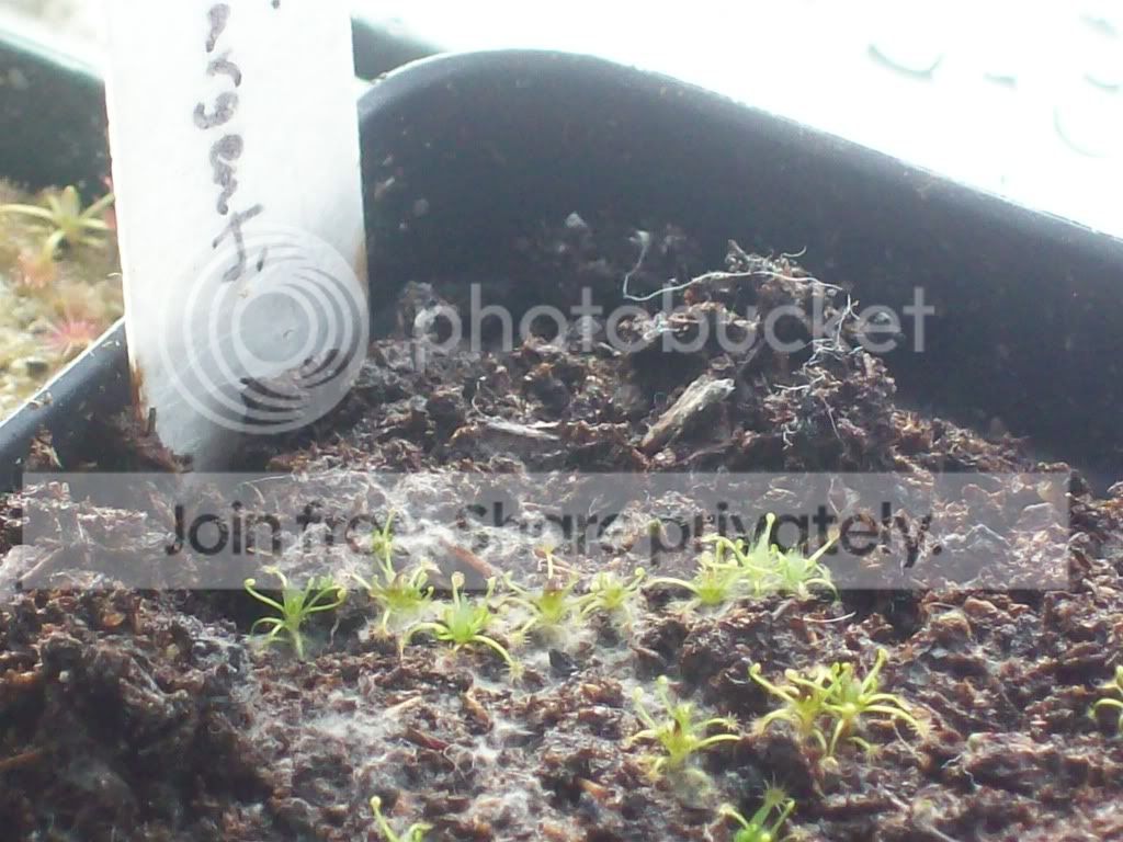 Picture003-19.jpg