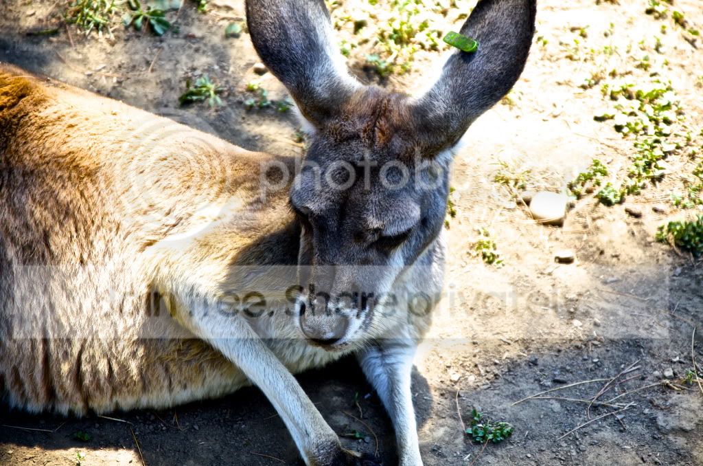 DSC_0724.jpg