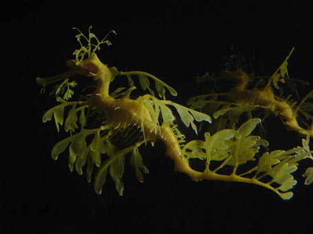 112561586_e22f5fd6d5.jpg