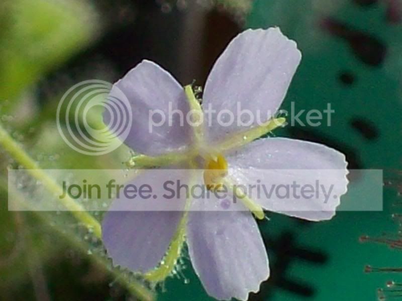 100_8979.jpg