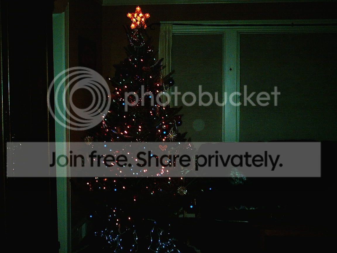 xmas_tree1.jpg