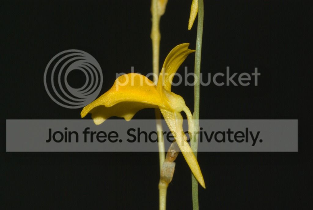 IMGP1542_zpsxtldbvb6.jpg