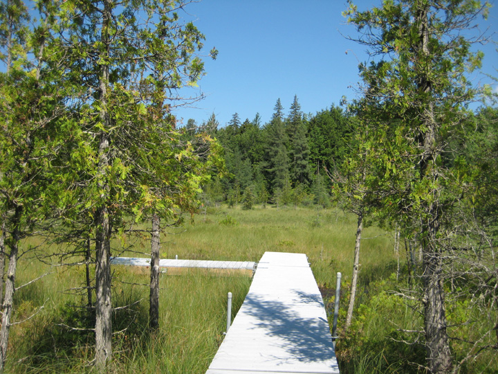 boardwalk.jpg