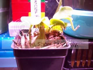 100_00261.jpg