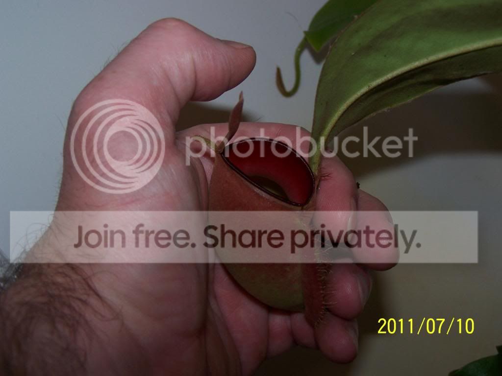 100_4775.jpg
