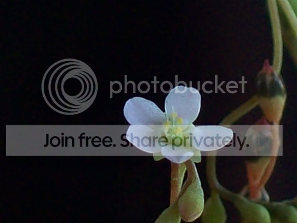 Picture022-3.jpg
