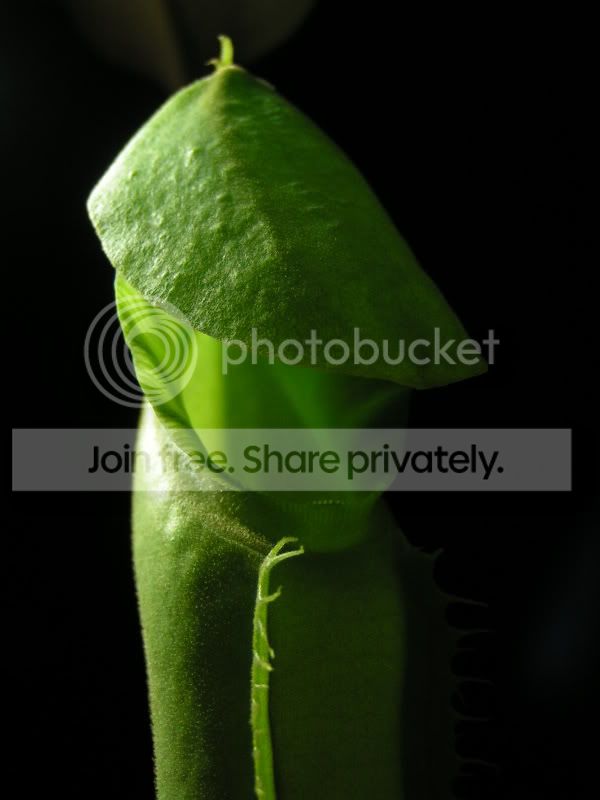 1b0ea199.jpg