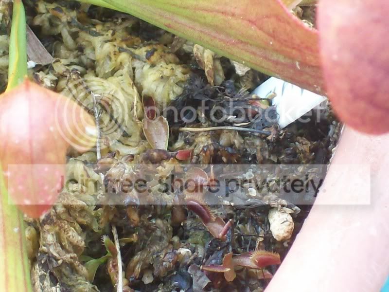 Picture019-2.jpg