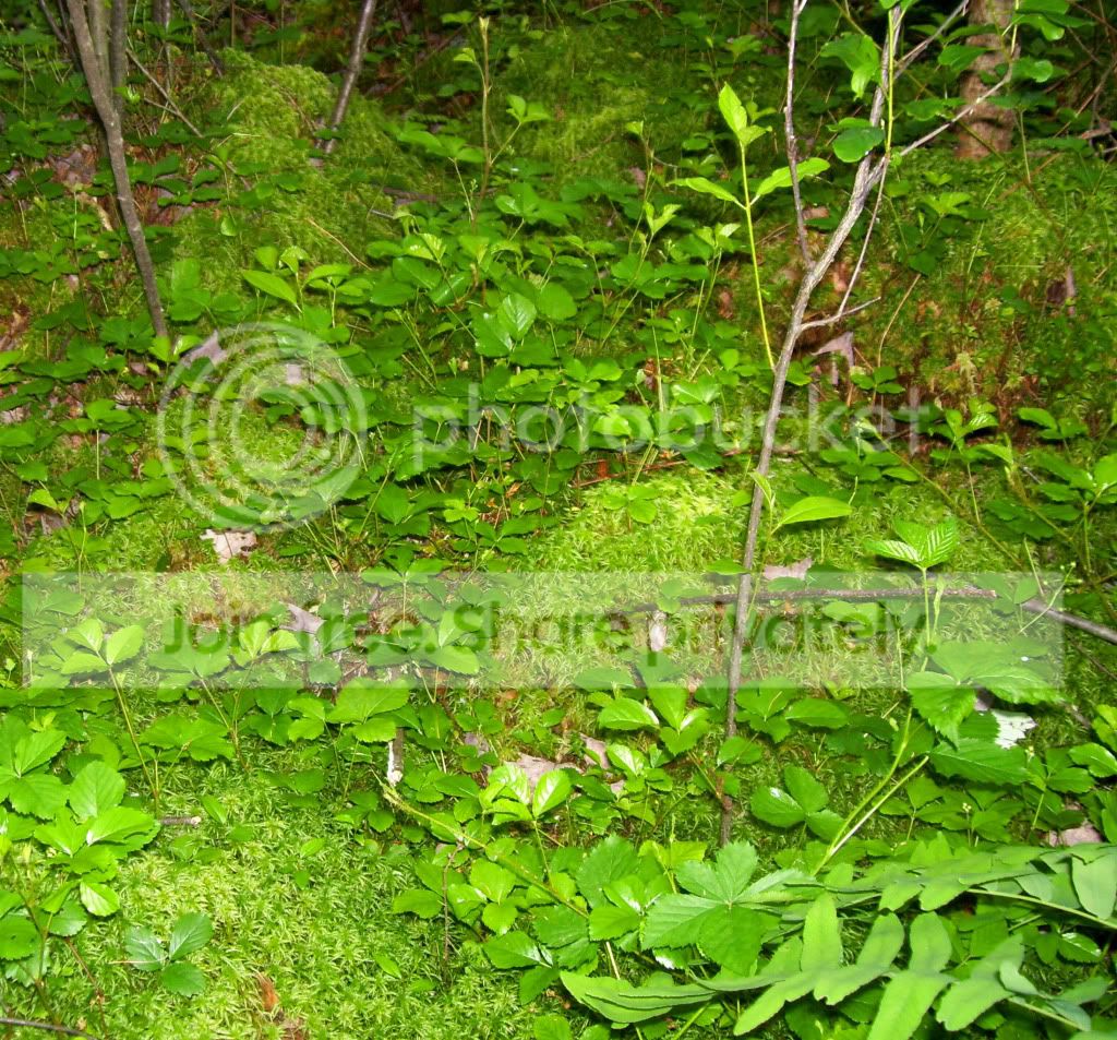 100_4194.jpg