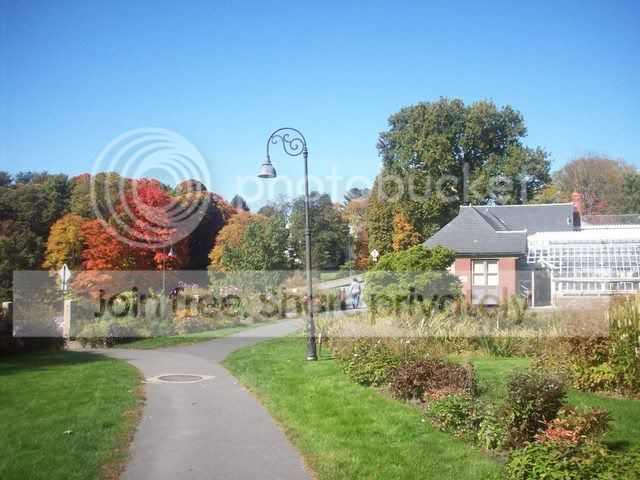 100_1825.jpg