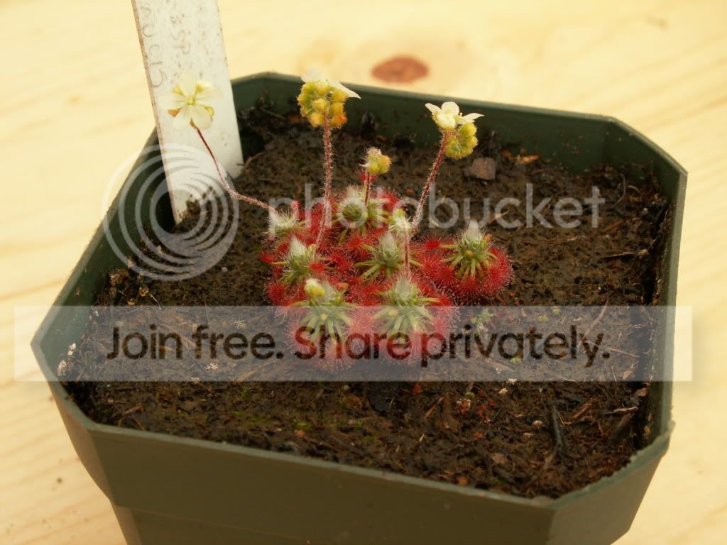 PICT0009.jpg