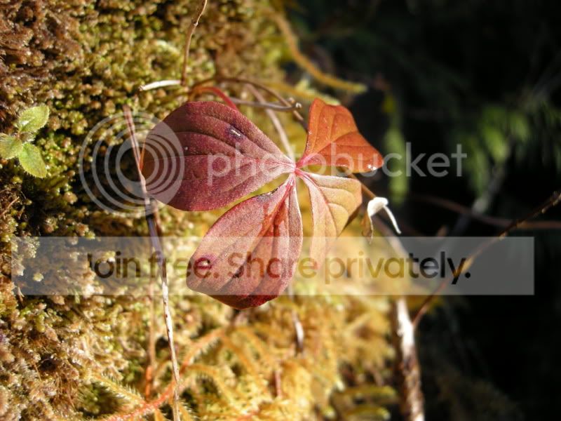 DSCN7016.jpg