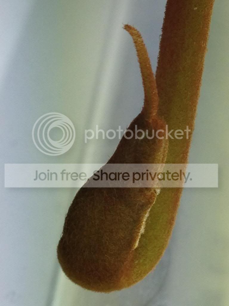 image_zps35c2240f.jpg